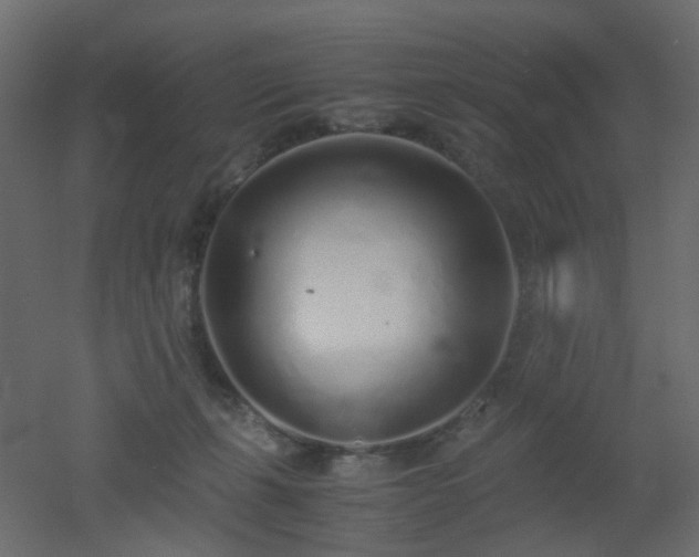 X0000051910271200506241451