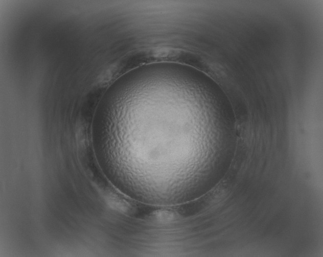 X0000051910272200506241451