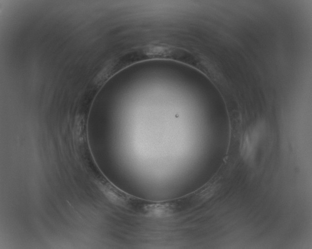 X0000051910273200506241451