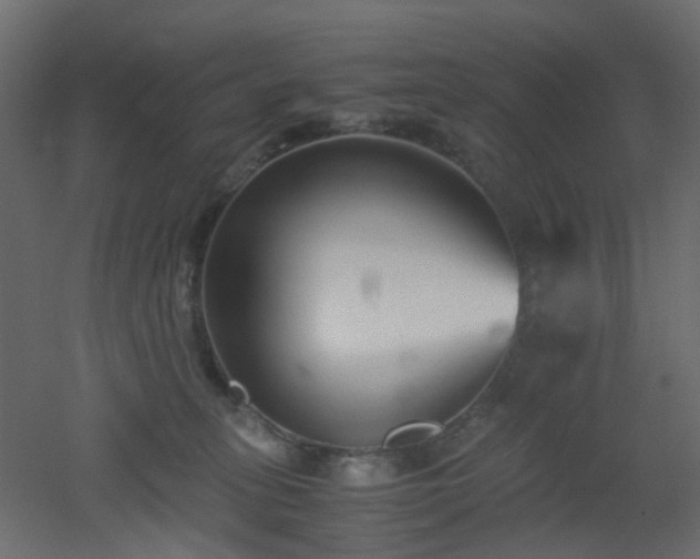 X0000051910275200506241451