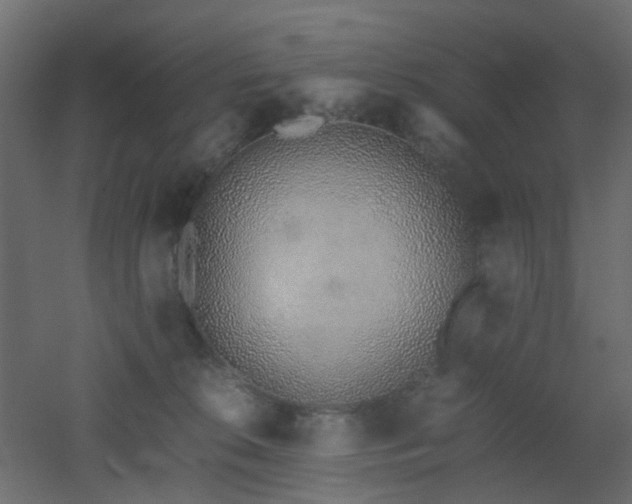 X0000051910276200506241451