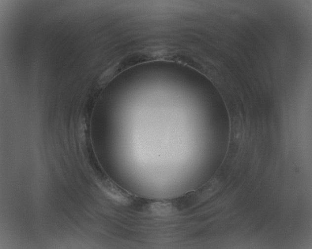 X0000051910279200506241451