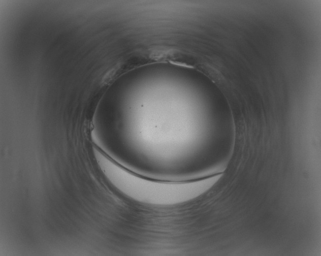 X0000051910280200506241451