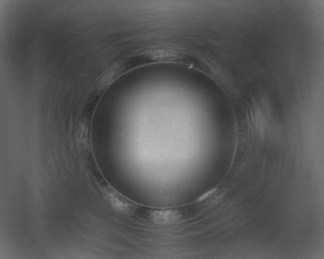 X0000051910281200506241451