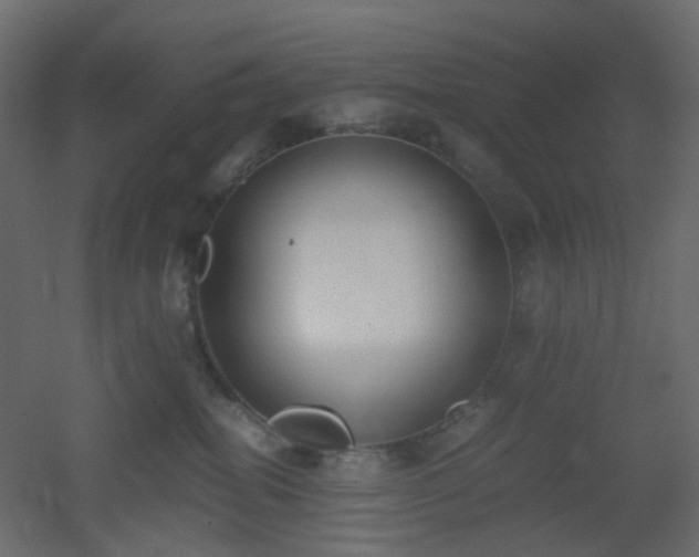 X0000051910282200506241451