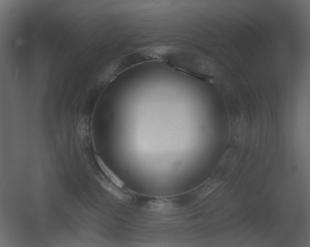 X0000051910284200506241451