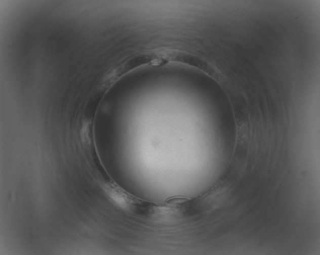 X0000051910286200506241451