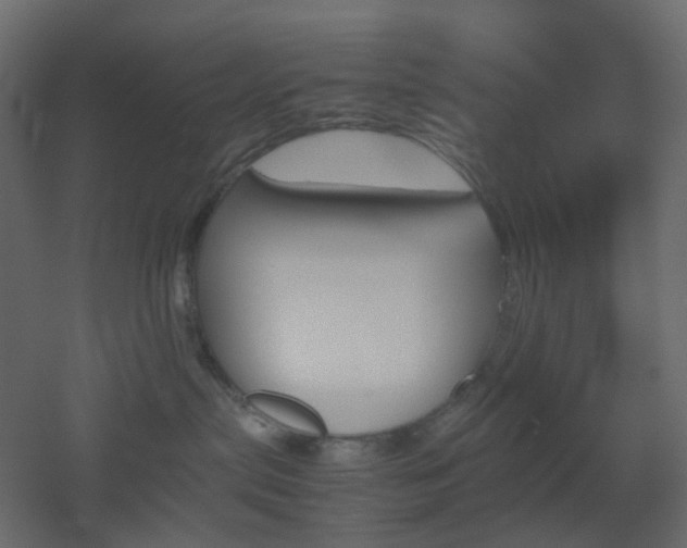 X0000051910287200506241451