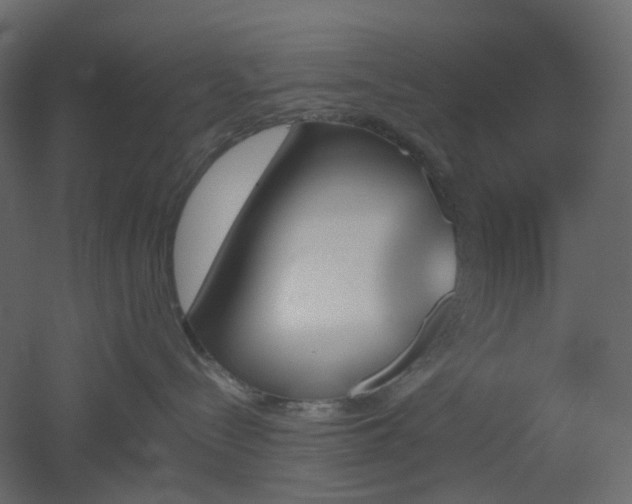 X0000051910288200506241451