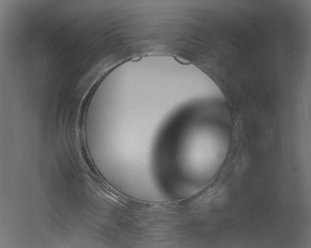 X0000051910290200506241450