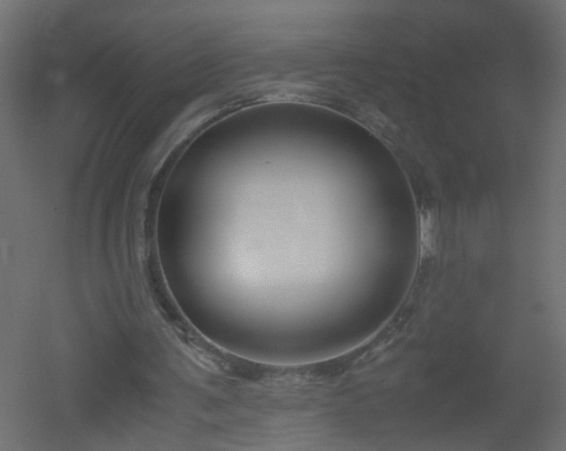 X0000051910291200506241450