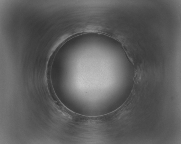 X0000051910292200506241450