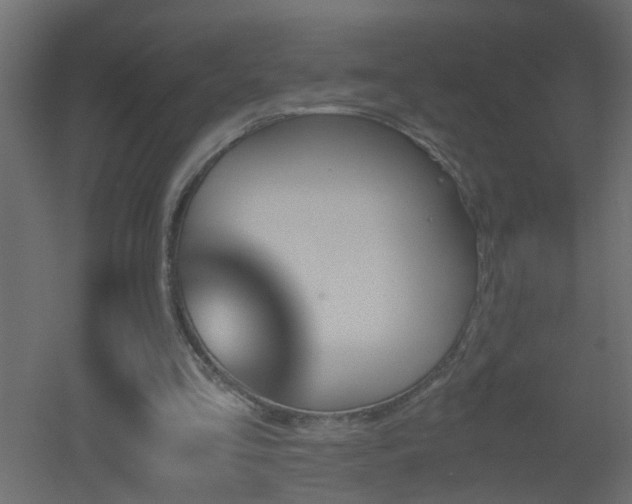 X0000051910293200506241450