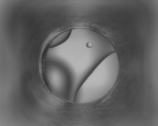 X0000051910294200506241450