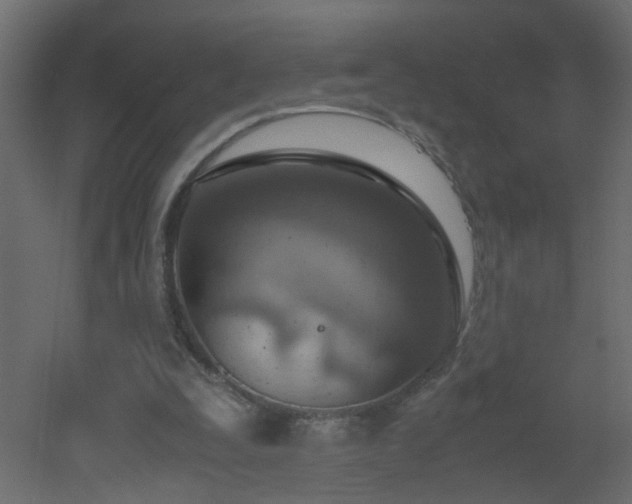 X0000051910295200506241450