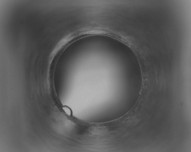 X0000051910296200506241450