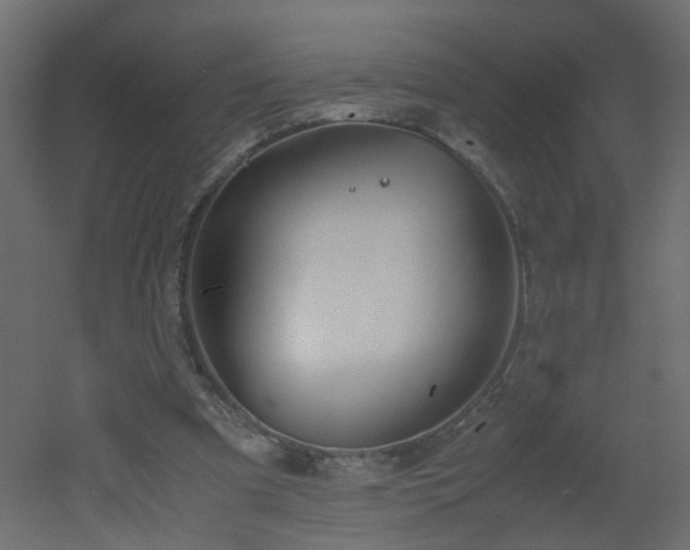 X0000051910297200506241450