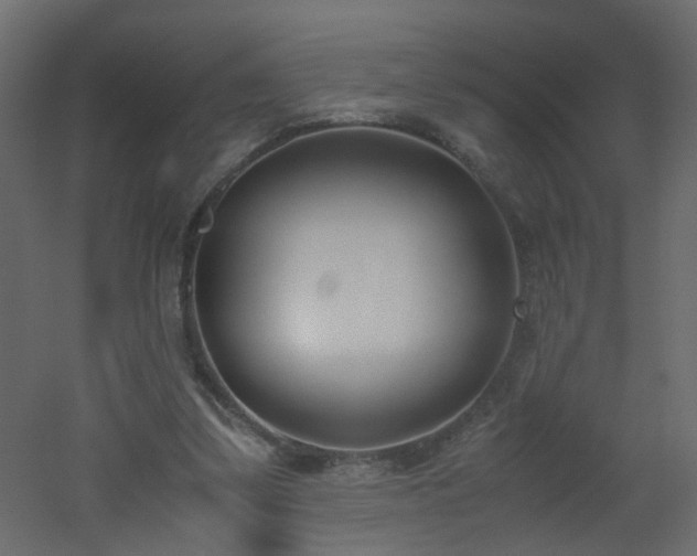 X0000051910299200506241450