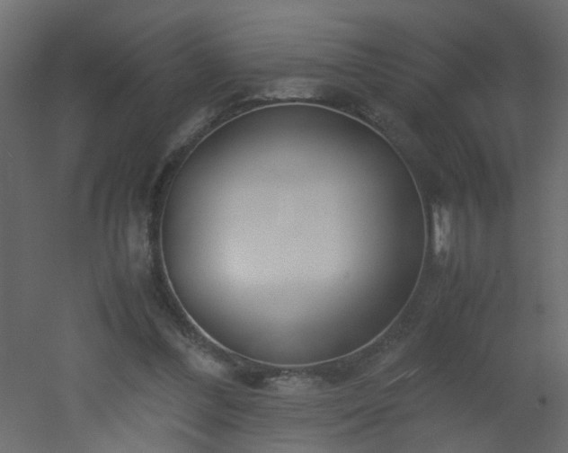 X0000051910300200506241450