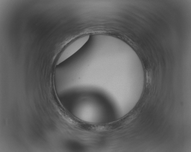 X0000051910301200506241450