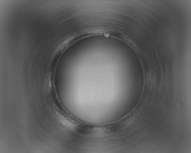 X0000051910302200506241450