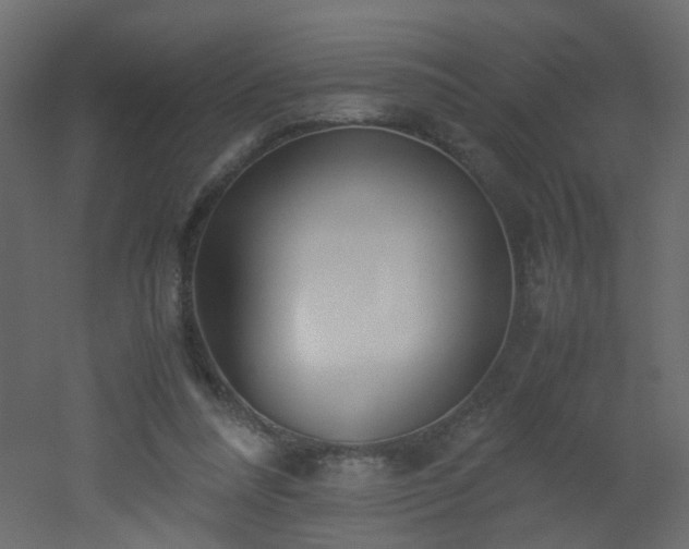 X0000051910304200506241450