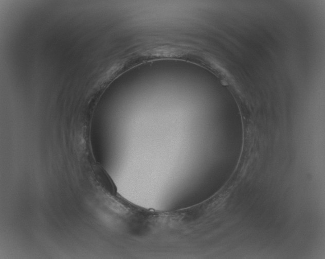 X0000051910305200506241450