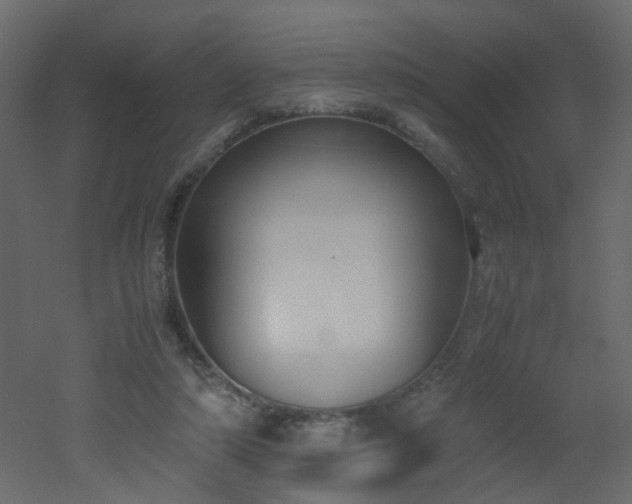 X0000051910306200506241450