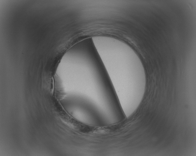 X0000051910307200506241450