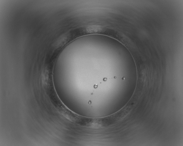 X0000051910308200506241450