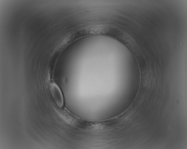 X0000051910310200506241450