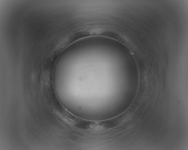 X0000051910311200506241450