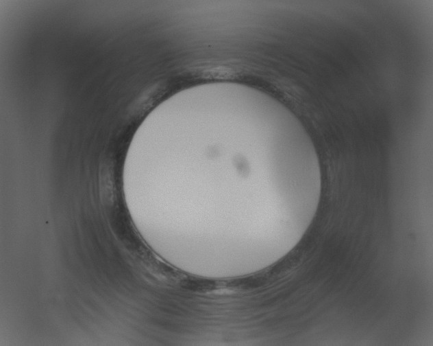 X0000051910312200506241450