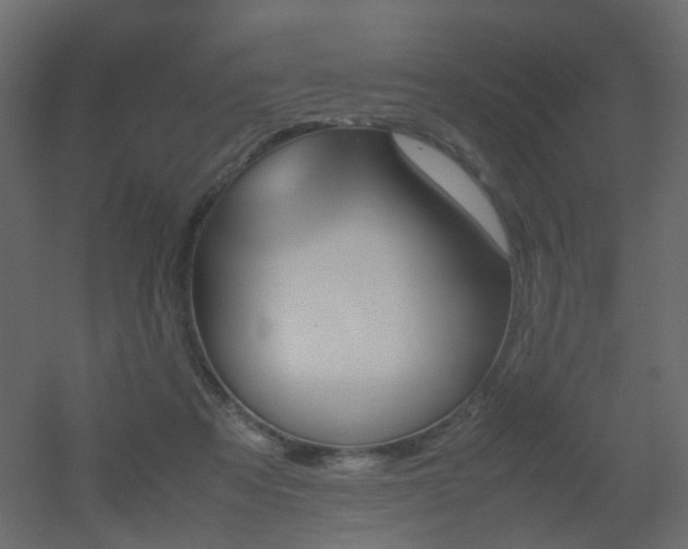 X0000051910313200506241450