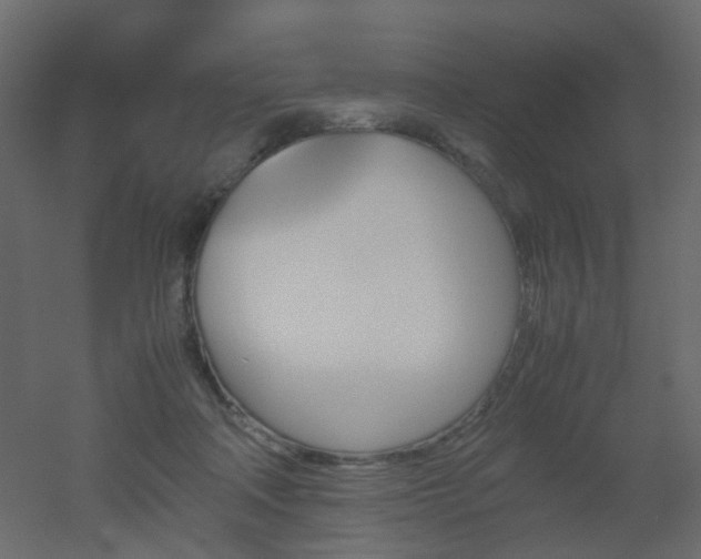 X0000051910314200506241450