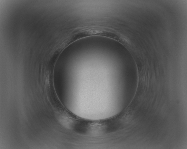 X0000051910315200506241450