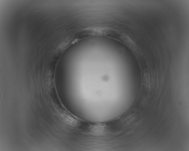 X0000051910318200506241450