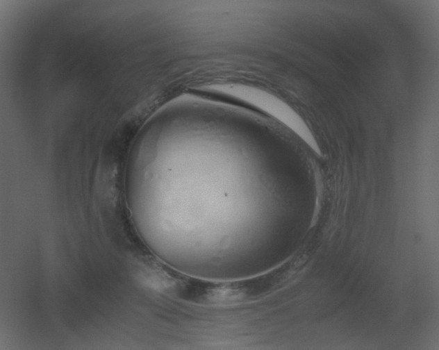 X0000051910319200506241449