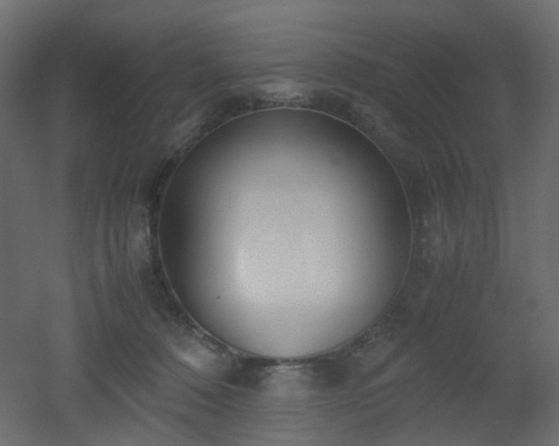 X0000051910320200506241449