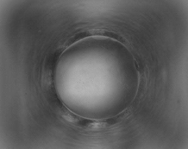 X0000051910323200506241449