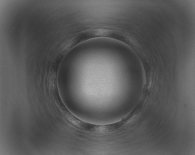 X0000051910325200506241449