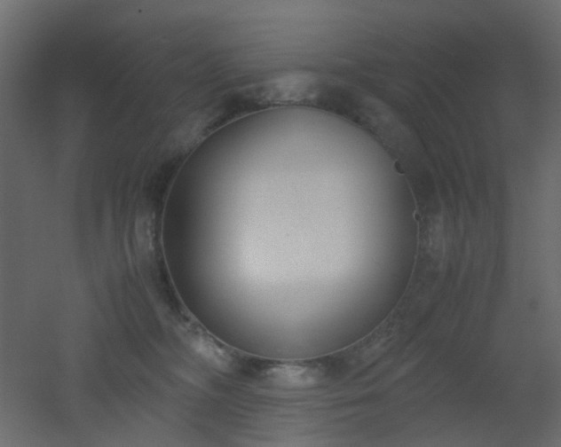 X0000051910326200506241449