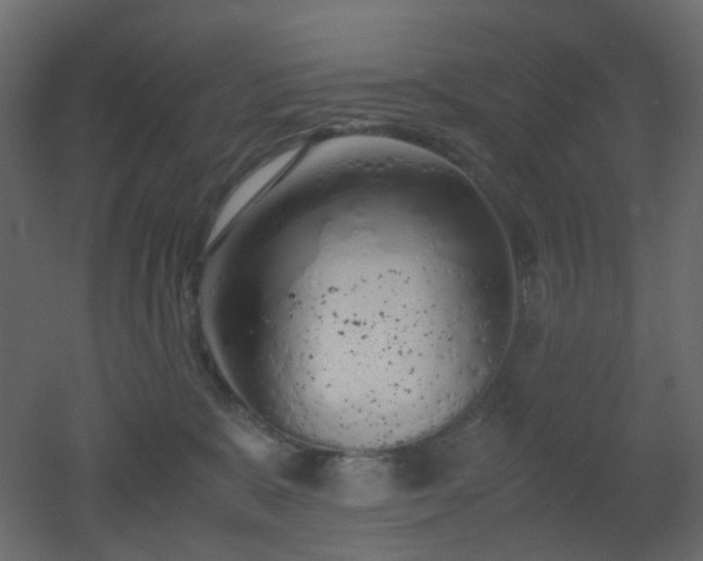 X0000051910327200506241449