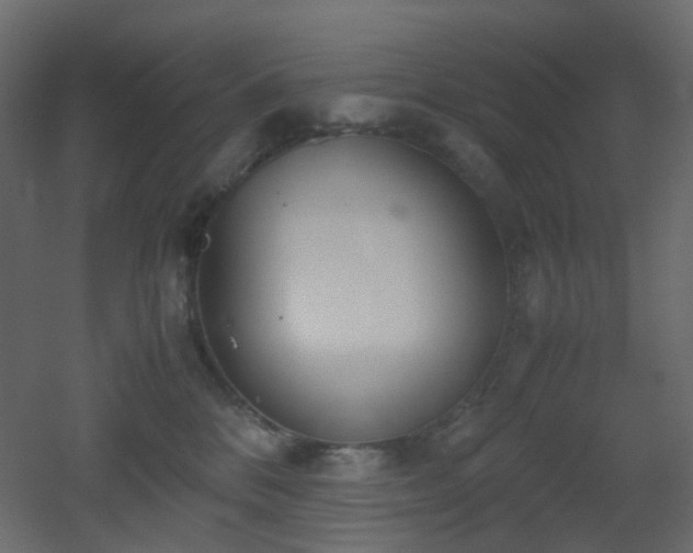 X0000051910328200506241449