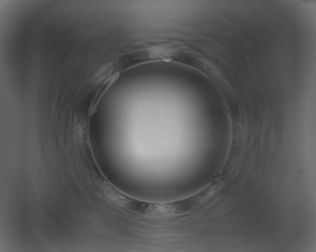 X0000051910329200506241449