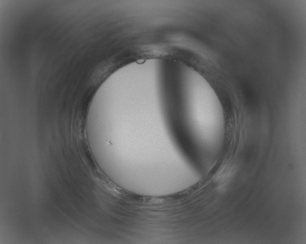 X0000051910330200506241449