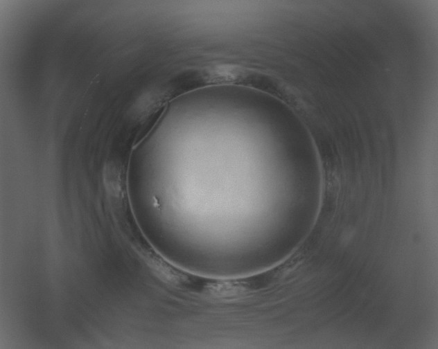 X0000051910331200506241449