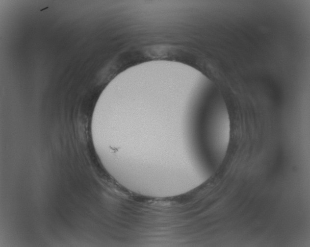 X0000051910332200506241449