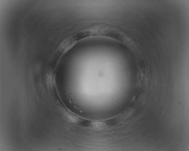 X0000051910333200506241449