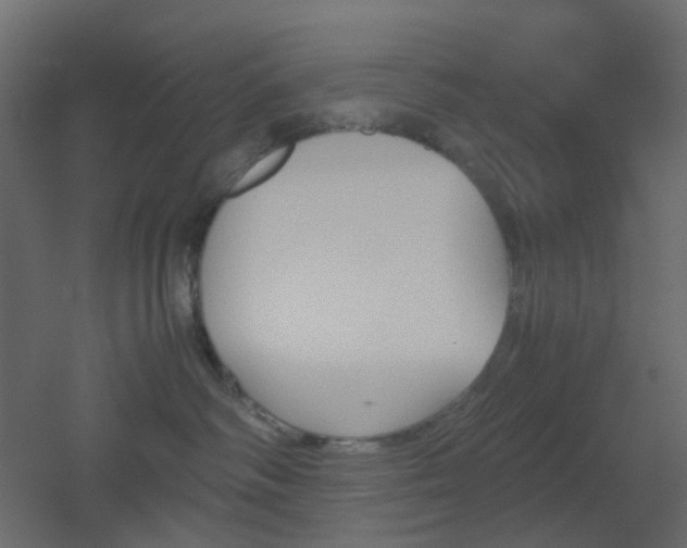 X0000051910334200506241449